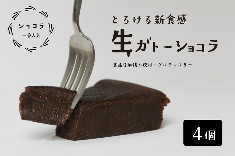 生ガトーショコラ