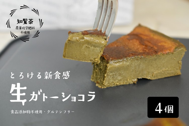生ガトーショコラ