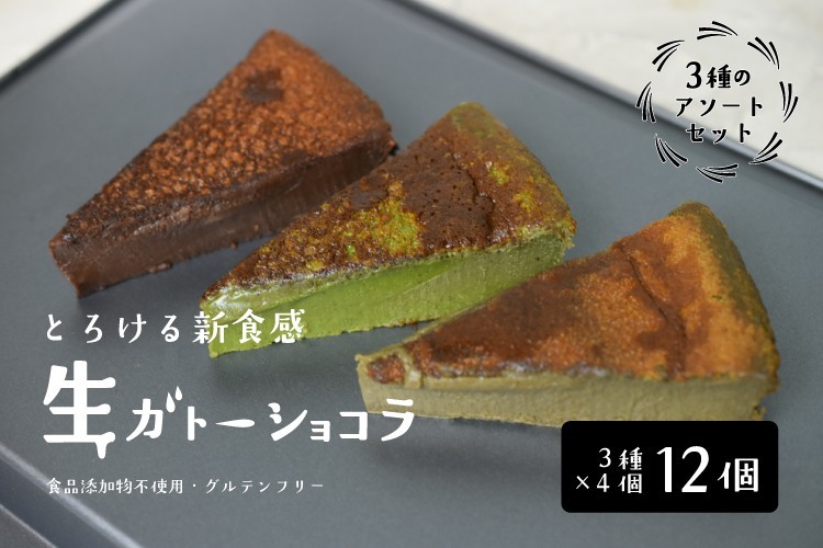 生ガトーショコラ